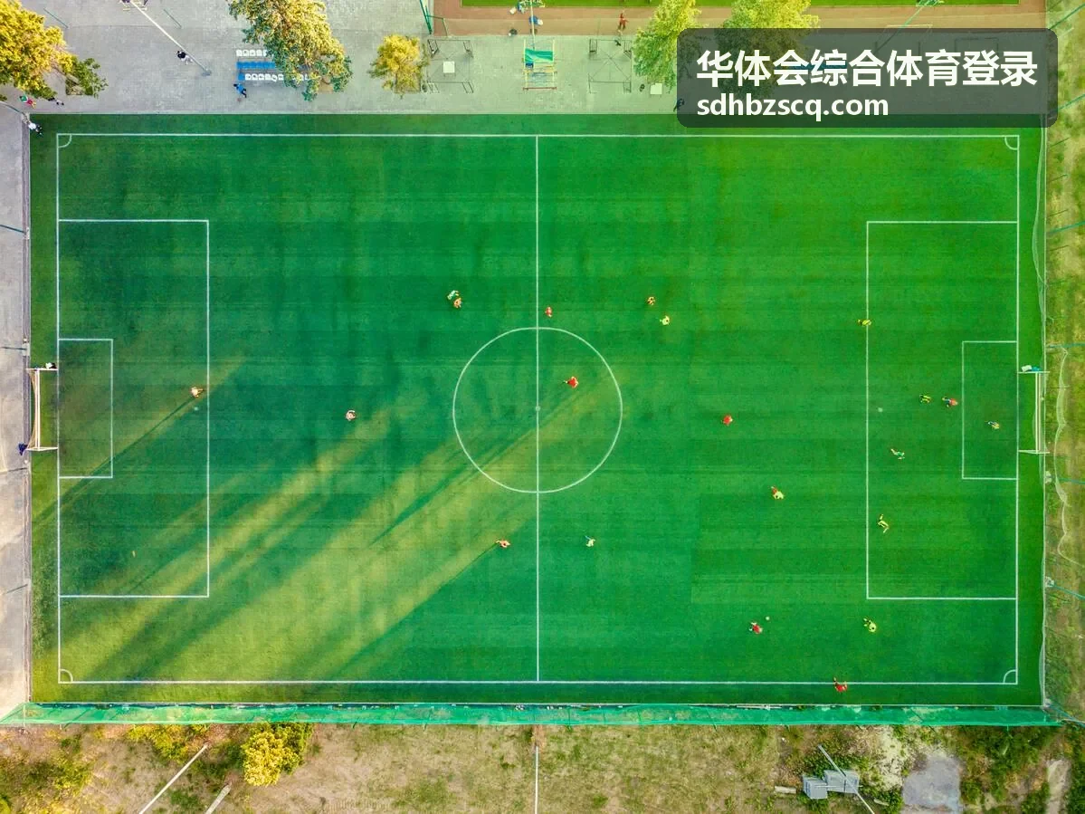 华体会综合体育登录四步流程背景
